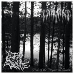 Mire Of Despondency : Loch of the Degenerate Realm